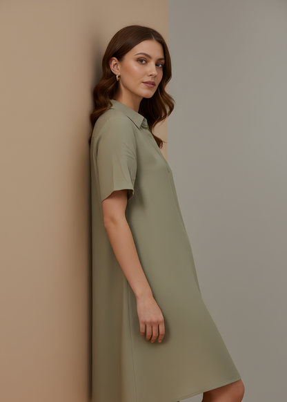 Collared V-Neck Tunic Dress