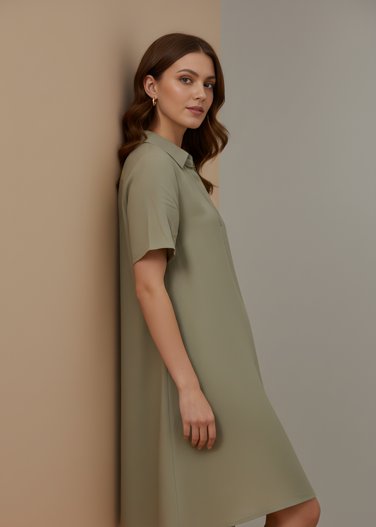 Collared V-Neck Tunic Dress